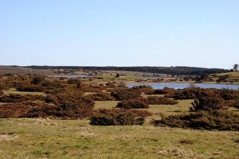 Hedelandets Camping Sevel المظهر الخارجي الصورة